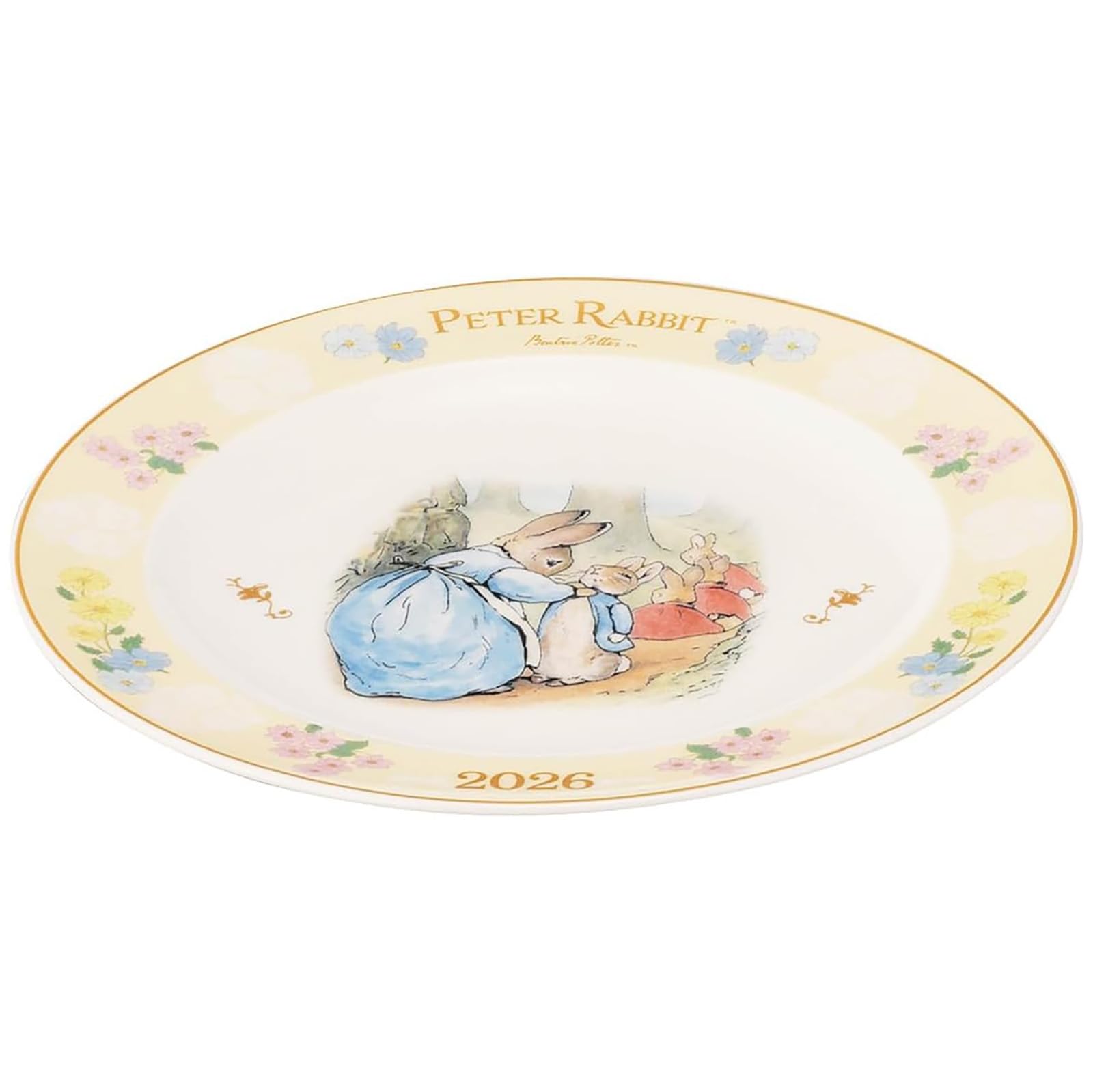 Amazon.co.jp: ピーターラビット 2026年 イヤーズ プレート 皿 直径約